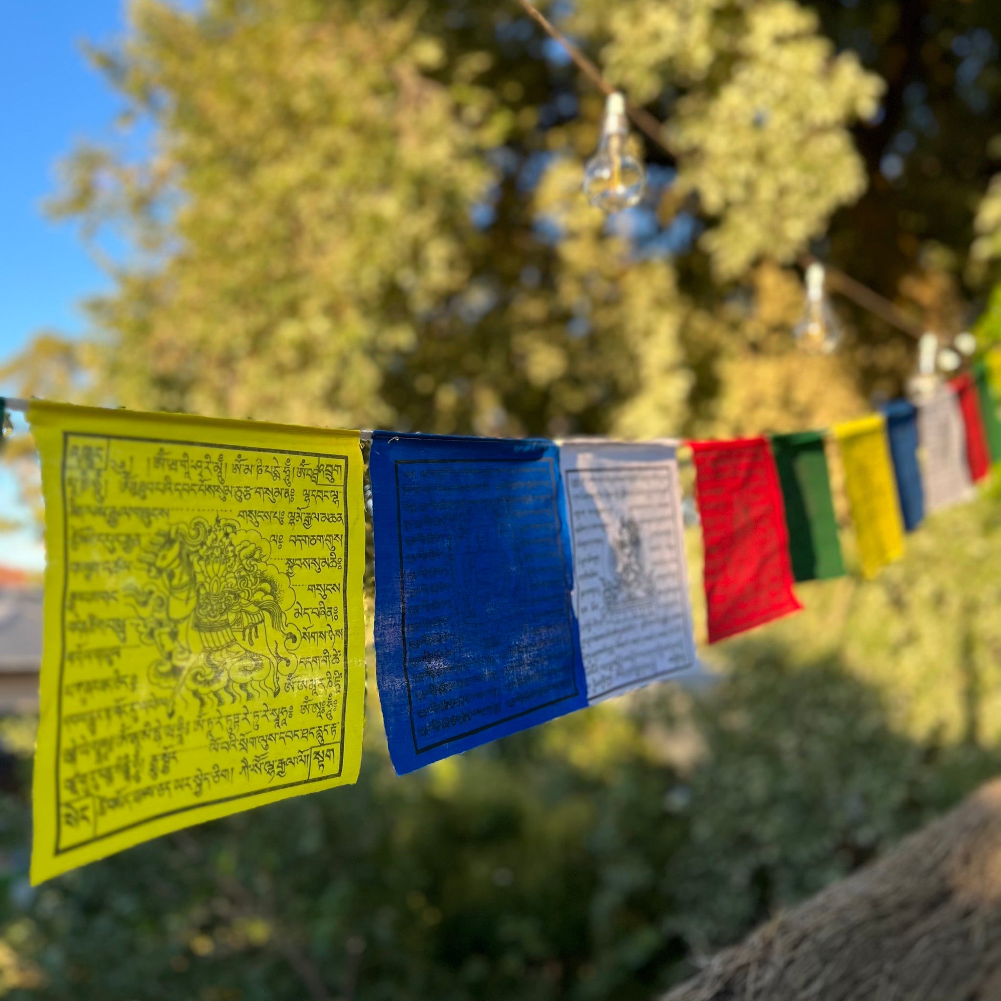 100% Cotton Prayer Flags, 20x20cm, 5.5m span, 25 flags, 5 different deities