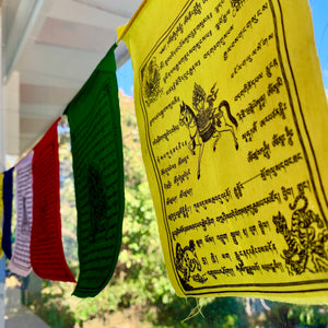 20cm Prayer Flags, 10 flags, 5 deities