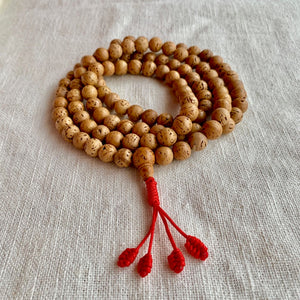 11mm Bodhi Seed Mala (Prayer Beads) with Red String and Smooth Beads