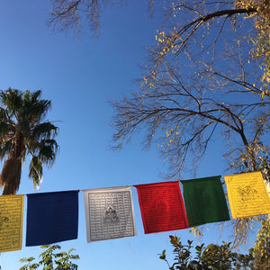 Medium Prayer Flags, 6m span, 25 flags, 5 different deities
