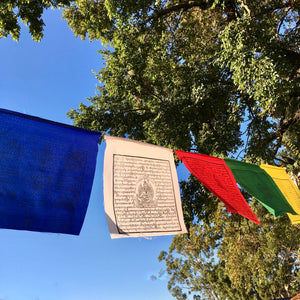 Large Prayer Flags, 8m span, 25 flags, 5 different deities